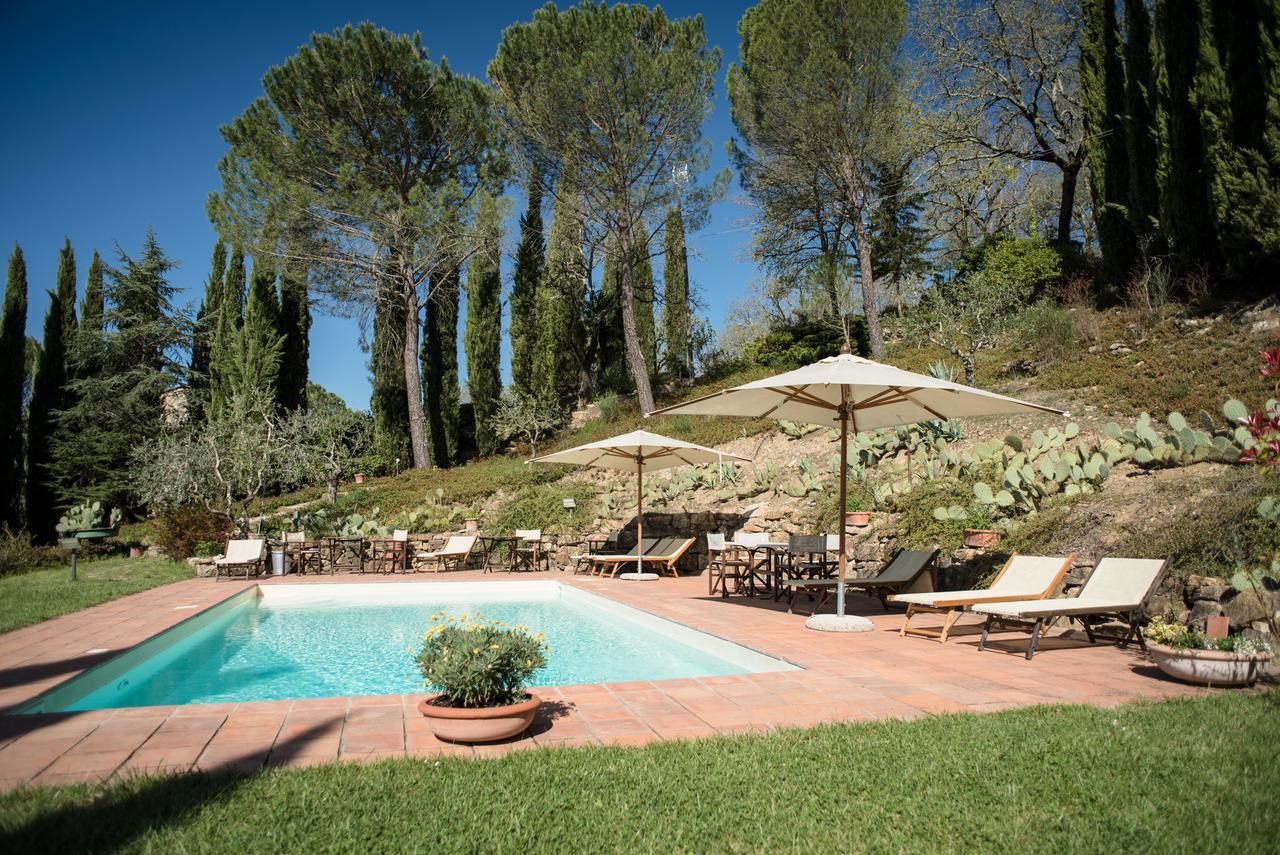 B&B Fagiolari Greve in Chianti Ngoại thất bức ảnh