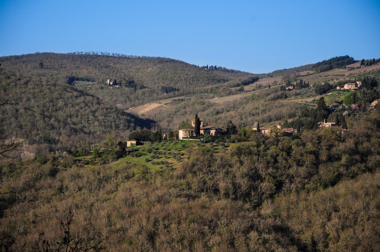 B&B Fagiolari Greve in Chianti Ngoại thất bức ảnh